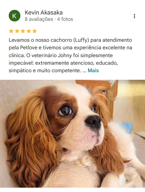 Avaliação real de tutor sobre o Patinhas de Assis