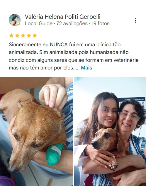 Avaliação real de tutor sobre o Patinhas de Assis