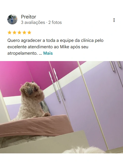 Avaliação real de tutor sobre o Patinhas de Assis